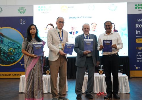 nternational Conference on Recent Advances in Nanomedicine (ICRAN 2025)